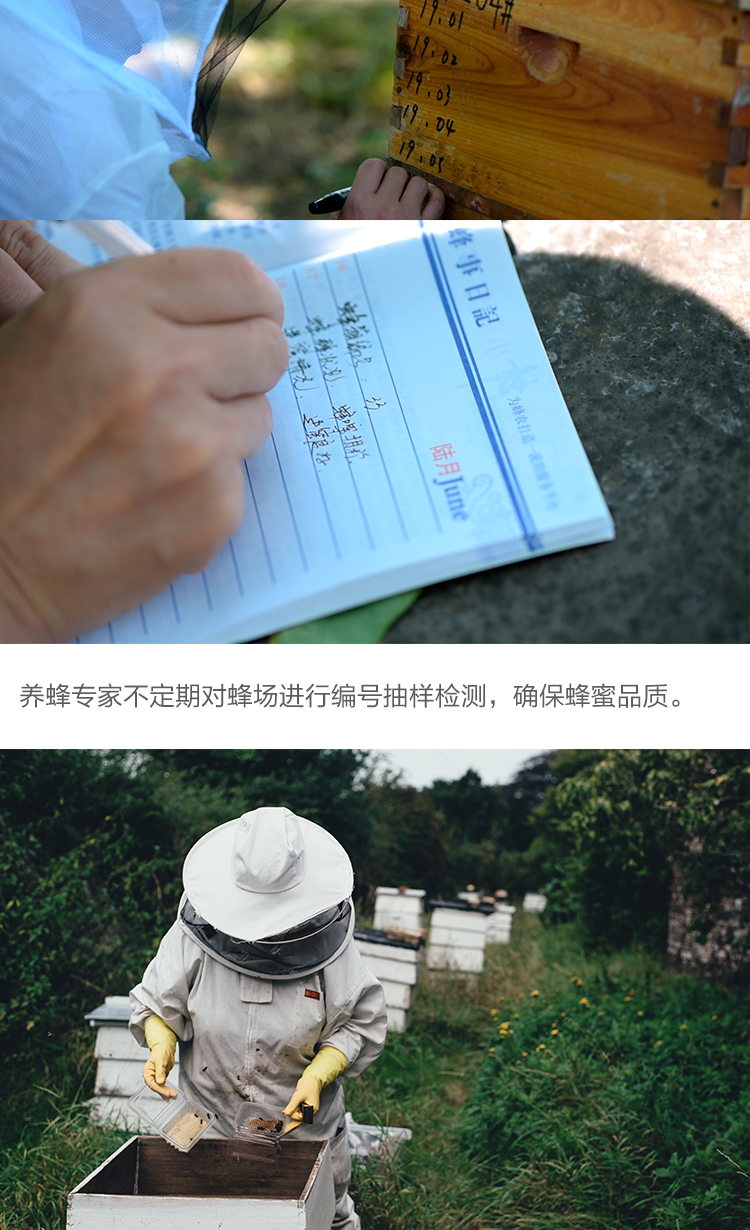 土蜂蜜新详情_06.jpg