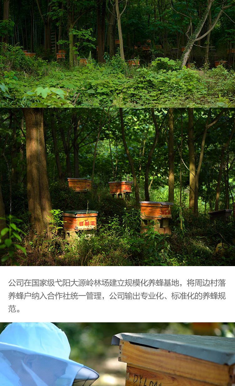 土蜂蜜新详情_05.jpg