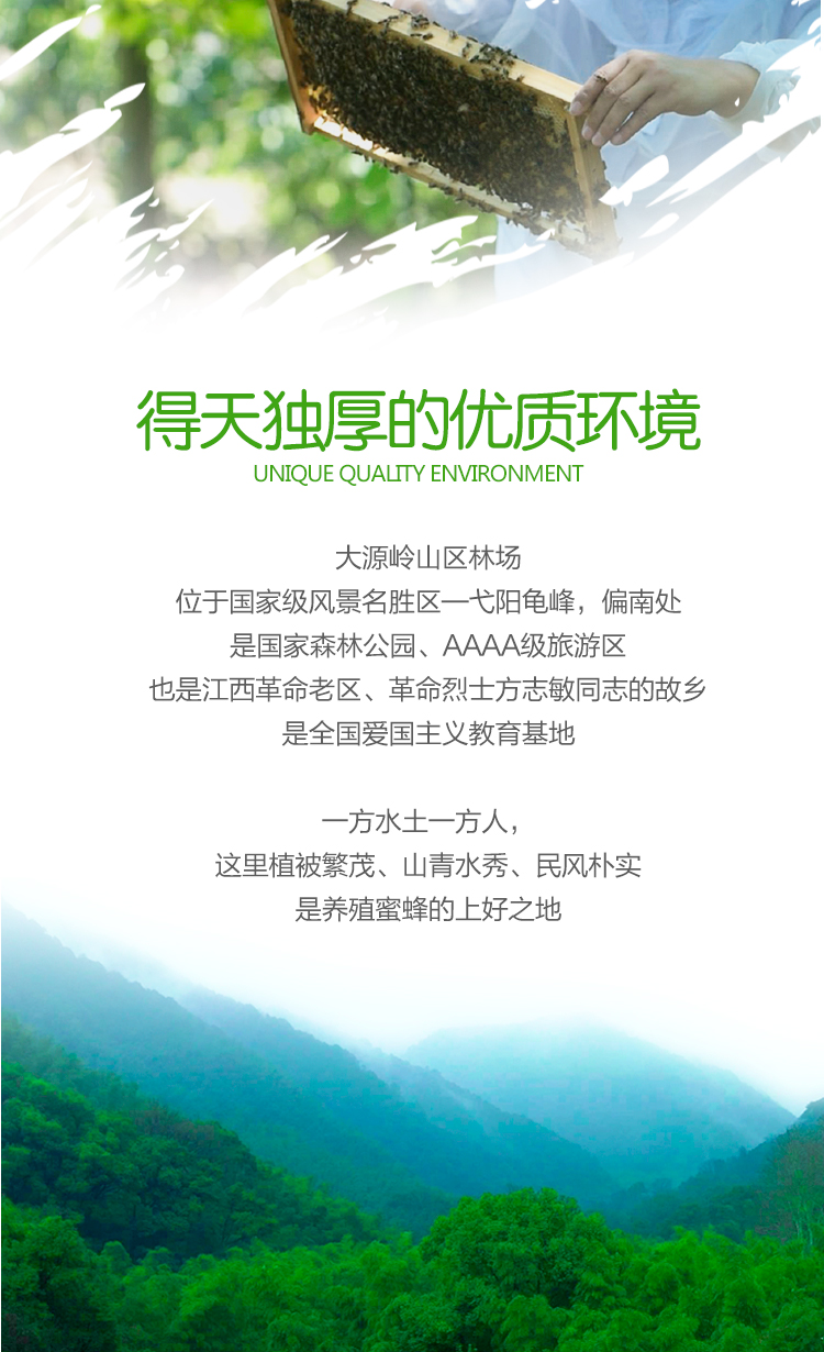 土蜂蜜新详情_03.jpg